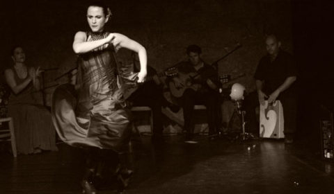 Flamenco - Fotografie Gabriela Füstös
