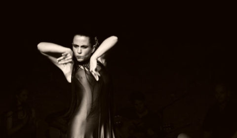 Flamenco - Fotografie Gabriela Füstös